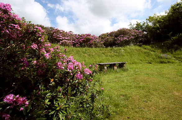 The secret garden at Croft House (sleeps 12)