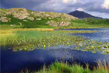 Eel Tarn in the Lake District